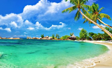 African Safaris in Tanzania | Zanzibar