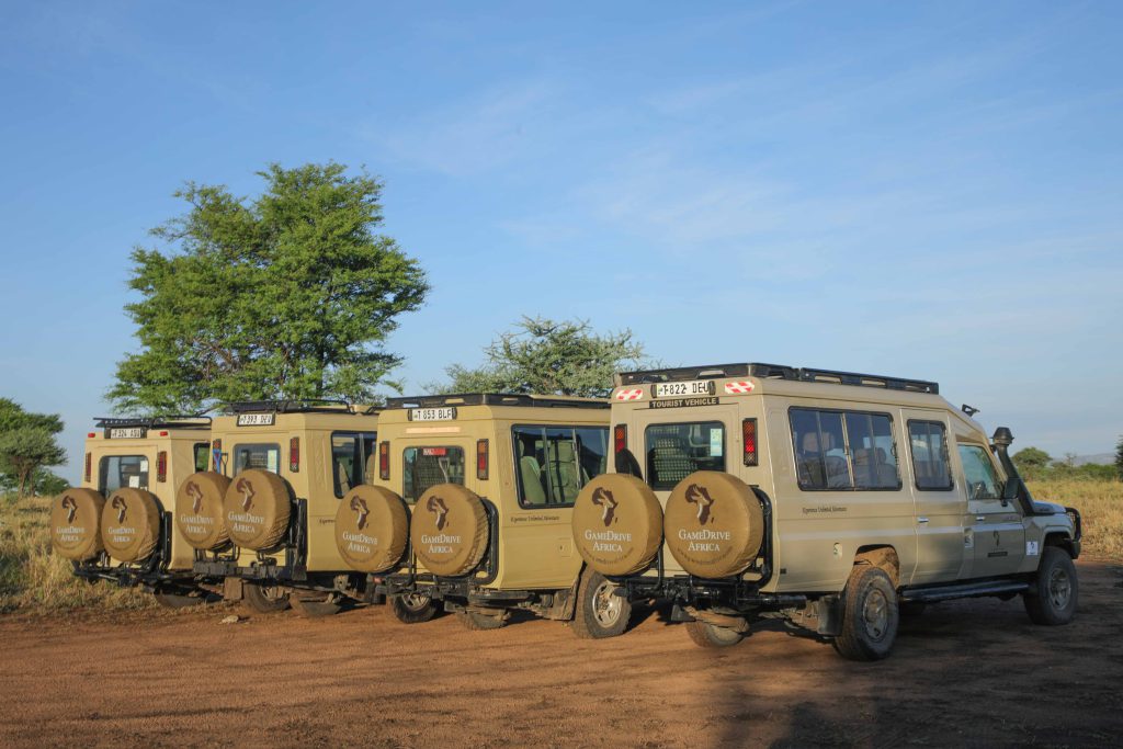 Plan Tanzania Safari