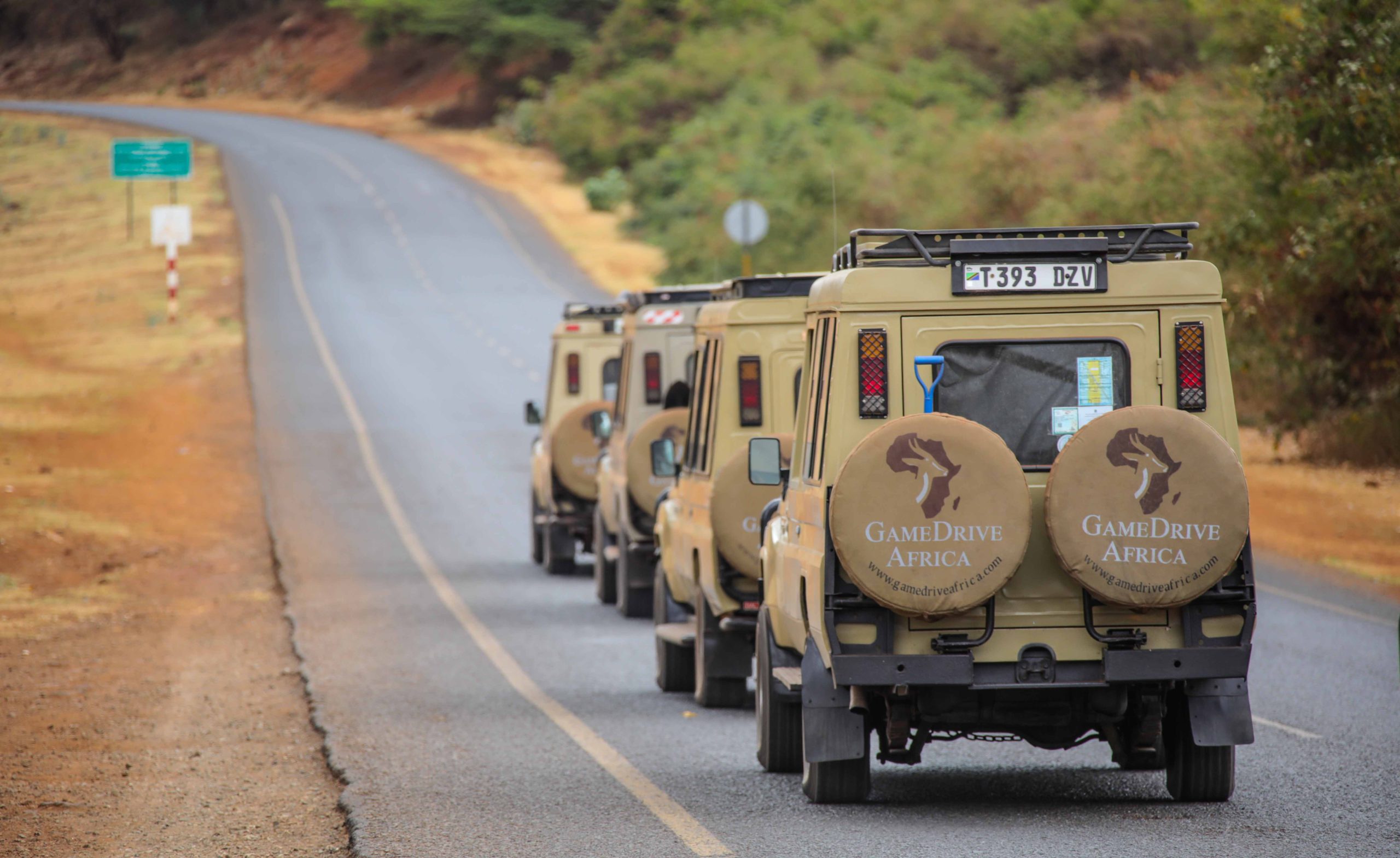 The Best Time to Visit Northern Tanzania for Safari  with GameDrive Africa