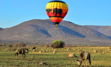 African Safaris in Tanzania