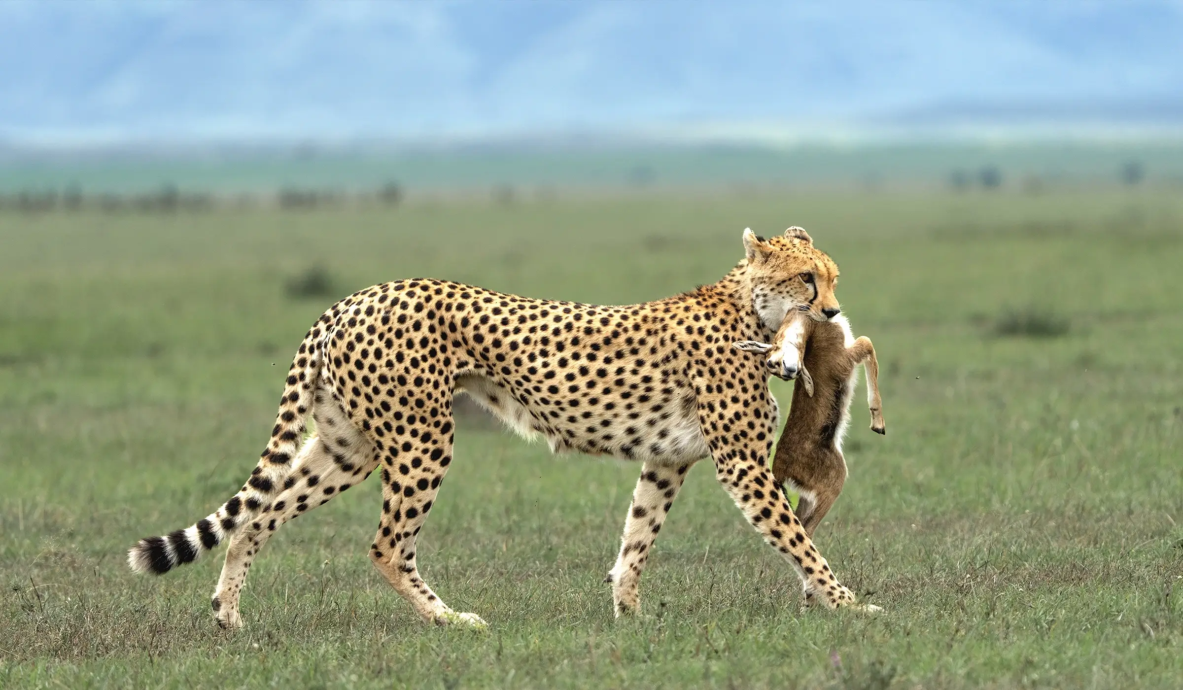 Serengeti National Park