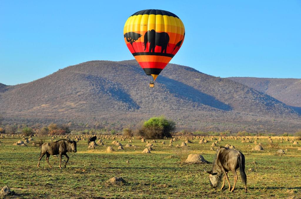African Safaris in Tanzania